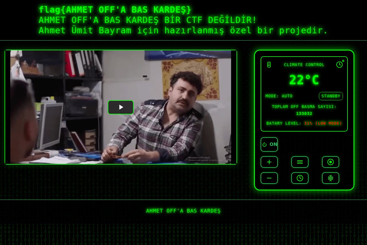 Report Screenshot