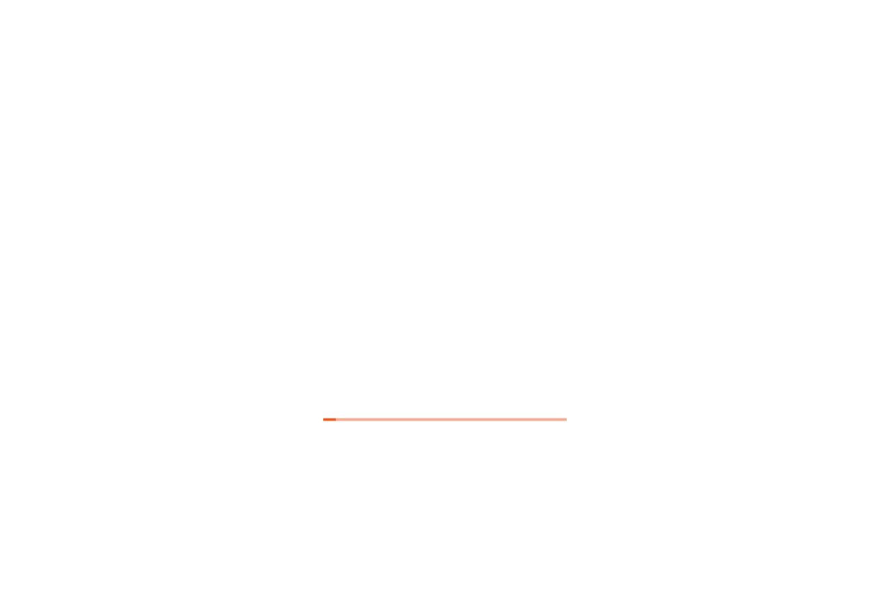 Report Screenshot
